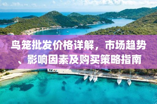 鸟笼批发价格详解，市场趋势、影响因素及购买策略指南