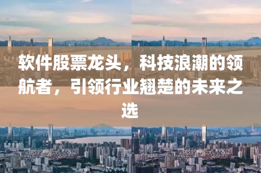 软件股票龙头，科技浪潮的领航者，引领行业翘楚的未来之选