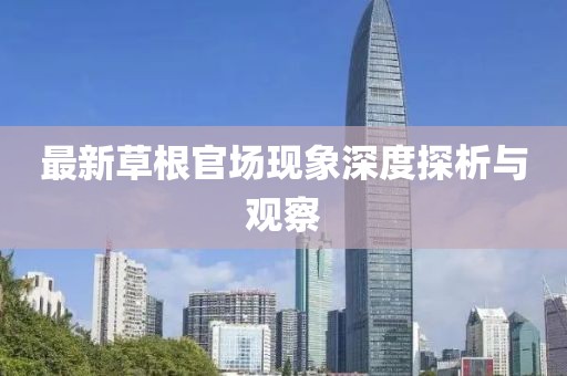 最新草根官场现象深度探析与观察