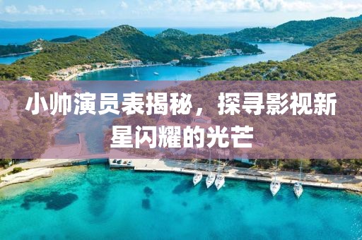 小帅演员表揭秘，探寻影视新星闪耀的光芒