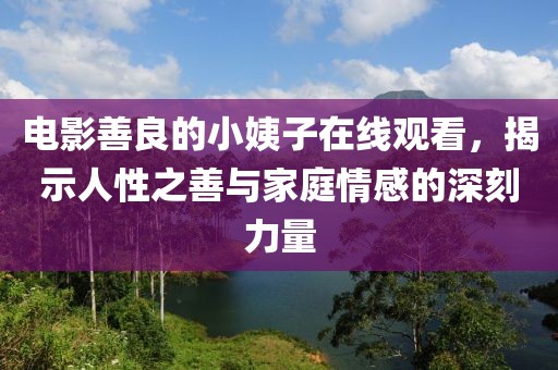 电影善良的小姨子在线观看，揭示人性之善与家庭情感的深刻力量