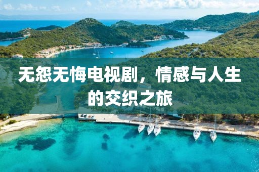 无怨无悔电视剧，情感与人生的交织之旅