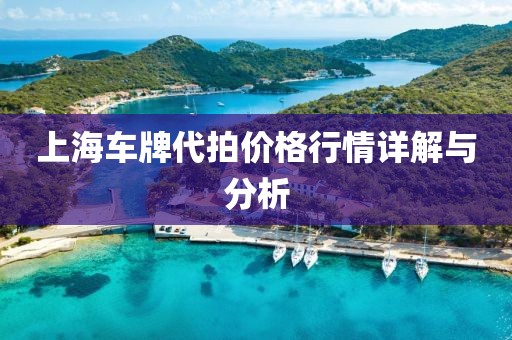 上海车牌代拍价格行情详解与分析