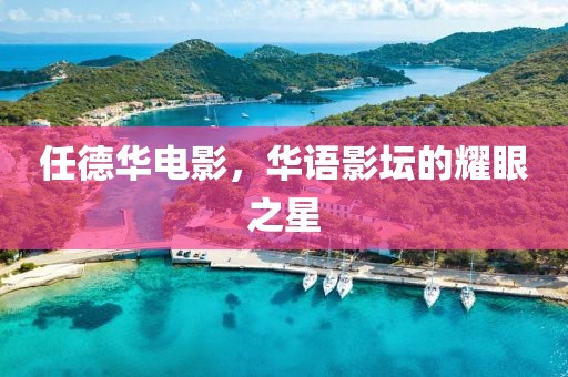 任德华电影，华语影坛的耀眼之星