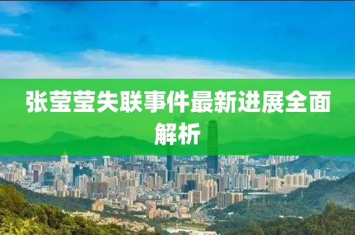 张莹莹失联事件最新进展全面解析
