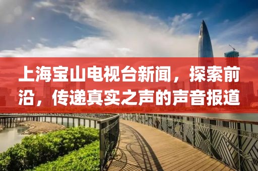 上海宝山电视台新闻，探索前沿，传递真实之声的声音报道