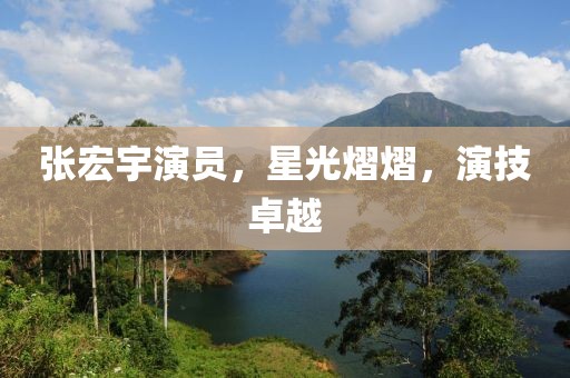 张宏宇演员，星光熠熠，演技卓越