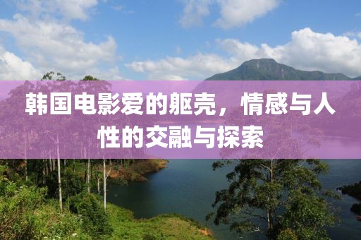 韩国电影爱的躯壳，情感与人性的交融与探索