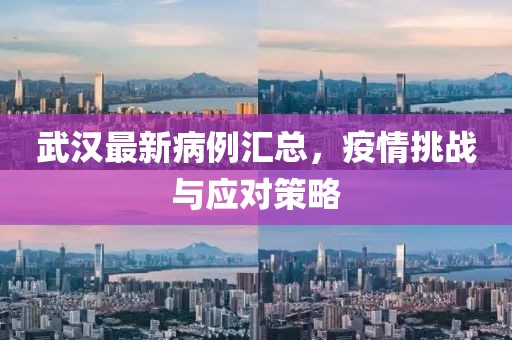 武汉最新病例汇总，疫情挑战与应对策略