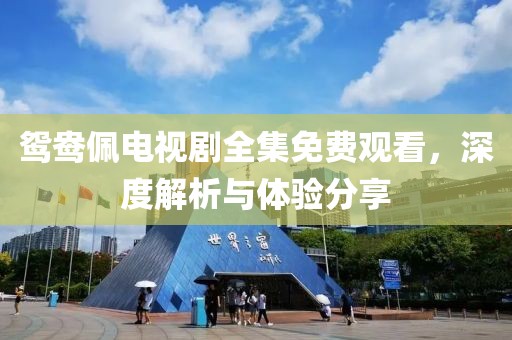 鸳鸯佩电视剧全集免费观看，深度解析与体验分享