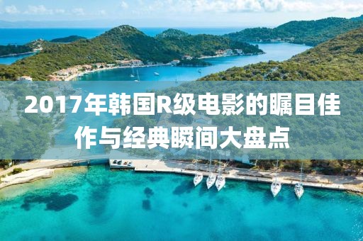2017年韩国R级电影的瞩目佳作与经典瞬间大盘点