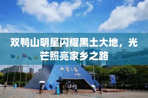 双鸭山明星闪耀黑土大地，光芒照亮家乡之路