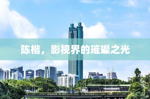陈楷，影视界的璀璨之光