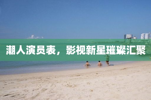 潮人演员表，影视新星璀璨汇聚