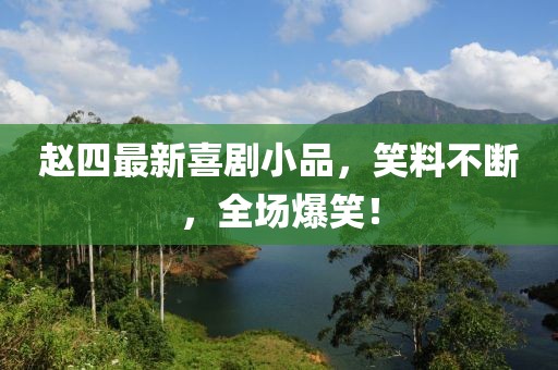 赵四最新喜剧小品，笑料不断，全场爆笑！