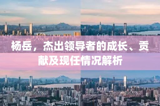 杨岳，杰出领导者的成长、贡献及现任情况解析