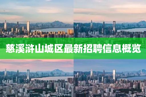 慈溪浒山城区最新招聘信息概览