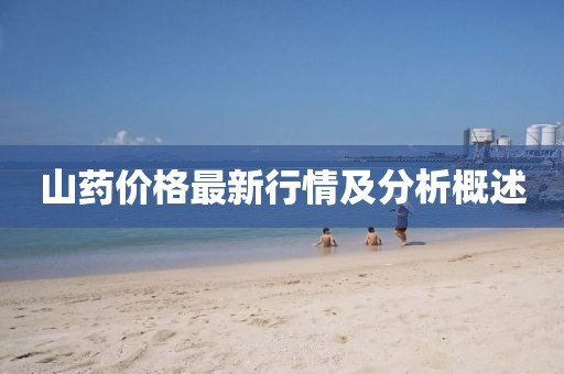 山药价格最新行情及分析概述