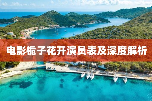 电影栀子花开演员表及深度解析