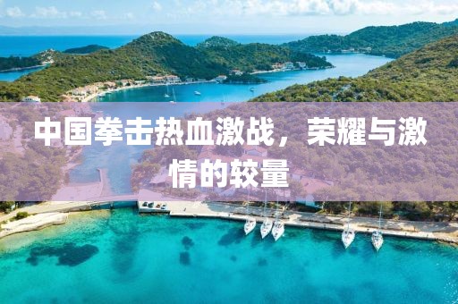 中国拳击热血激战，荣耀与激情的较量