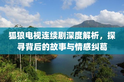 狐狼电视连续剧深度解析，探寻背后的故事与情感纠葛