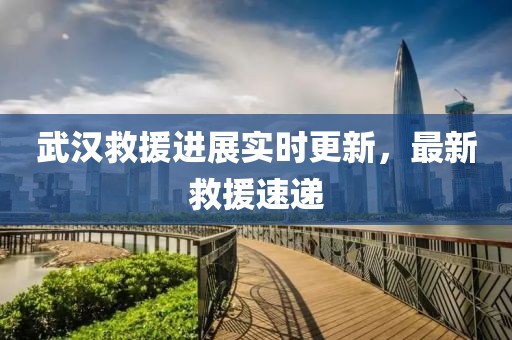 武汉救援进展实时更新，最新救援速递