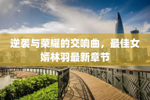 逆袭与荣耀的交响曲，最佳女婿林羽最新章节