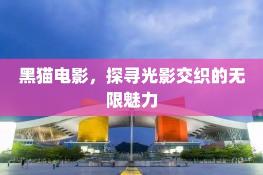 黑猫电影，探寻光影交织的无限魅力