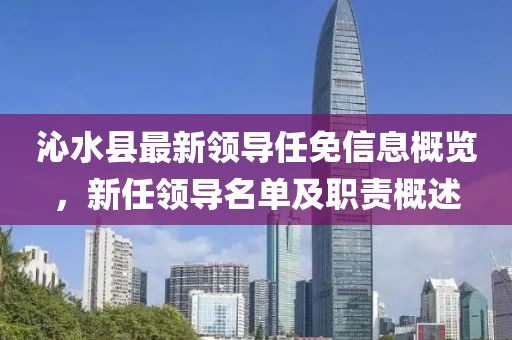 沁水县最新领导任免信息概览，新任领导名单及职责概述