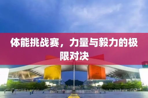 体能挑战赛，力量与毅力的极限对决
