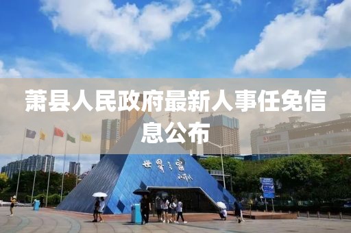 萧县人民政府最新人事任免信息公布