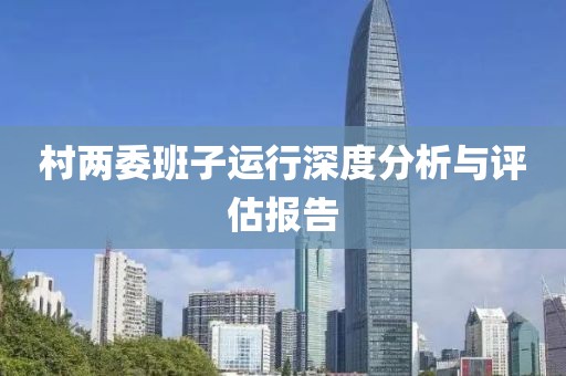 村两委班子运行深度分析与评估报告