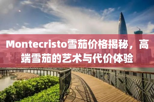 Montecristo雪茄价格揭秘，高端雪茄的艺术与代价体验