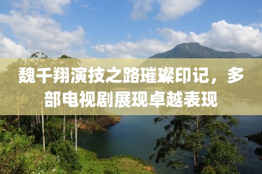 魏千翔演技之路璀璨印记，多部电视剧展现卓越表现