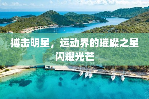 搏击明星，运动界的璀璨之星闪耀光芒