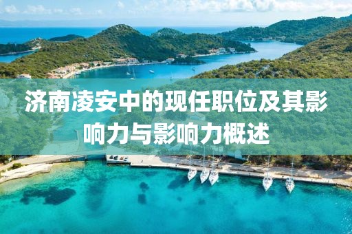 济南凌安中的现任职位及其影响力与影响力概述