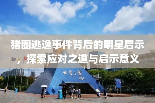 猪圈逃逸事件背后的明星启示，探索应对之道与启示意义