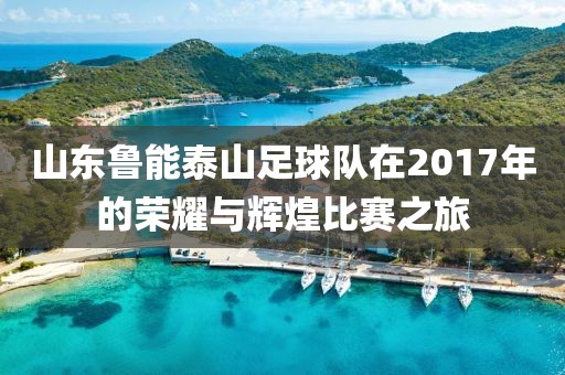 山东鲁能泰山足球队在2017年的荣耀与辉煌比赛之旅