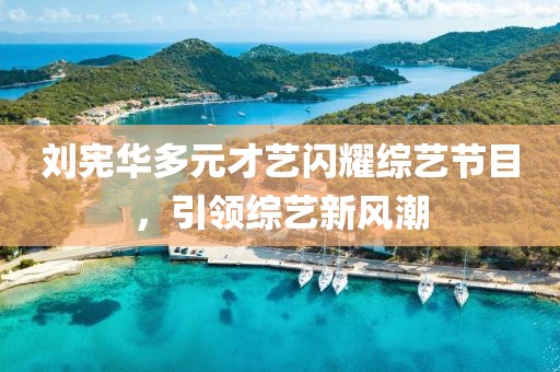 刘宪华多元才艺闪耀综艺节目，引领综艺新风潮