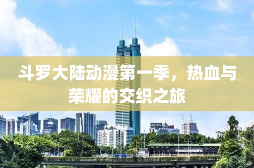 斗罗大陆动漫第一季，热血与荣耀的交织之旅