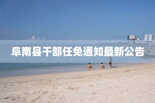 阜南县干部任免通知最新公告