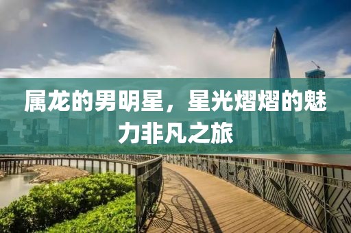 属龙的男明星，星光熠熠的魅力非凡之旅