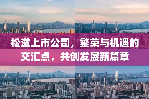 松滋上市公司，繁荣与机遇的交汇点，共创发展新篇章