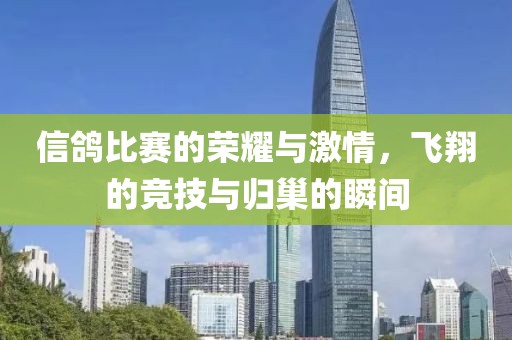 信鸽比赛的荣耀与激情，飞翔的竞技与归巢的瞬间