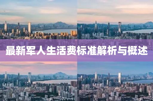 最新军人生活费标准解析与概述
