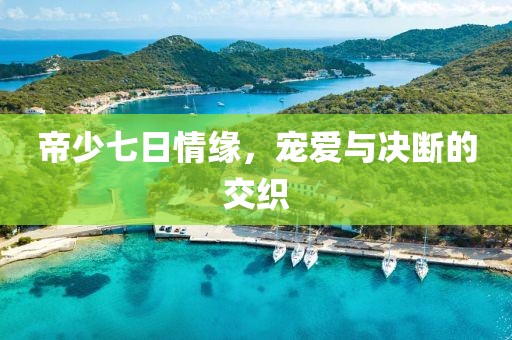 帝少七日情缘，宠爱与决断的交织