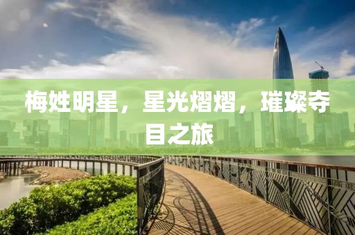 梅姓明星，星光熠熠，璀璨夺目之旅