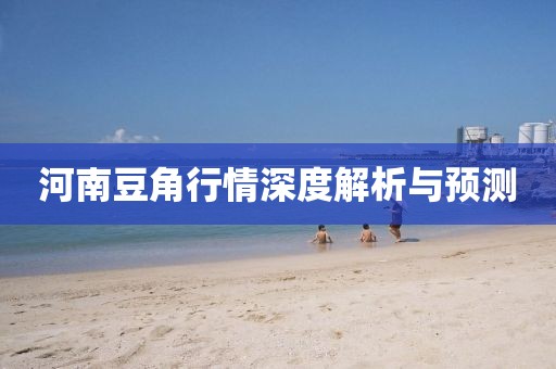 河南豆角行情深度解析与预测