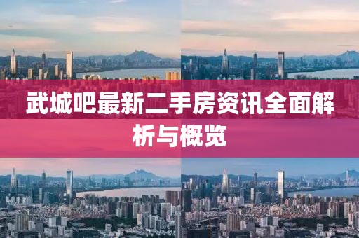 武城吧最新二手房资讯全面解析与概览