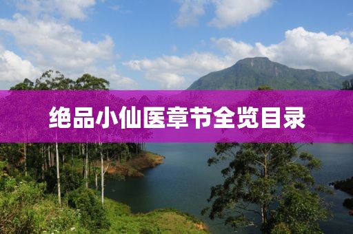 绝品小仙医章节全览目录